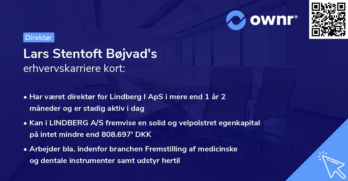 Lars Stentoft Bøjvad's erhvervskarriere kort