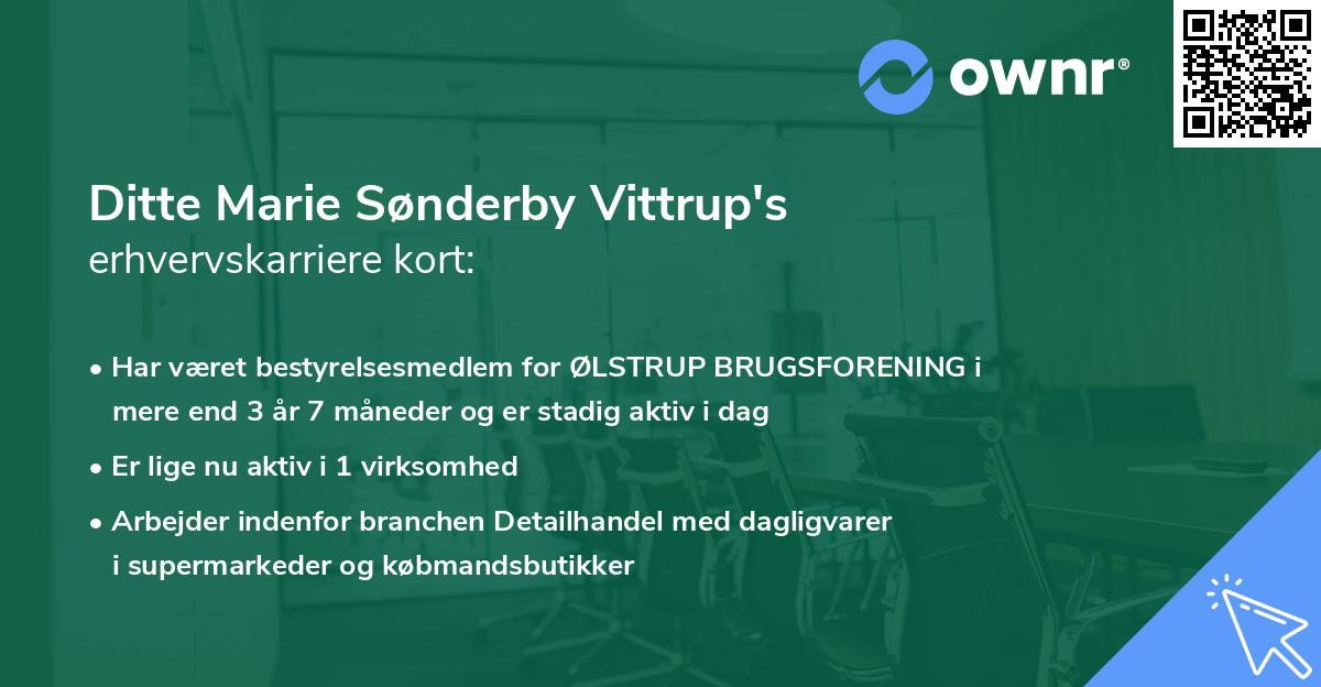 Ditte Marie Sønderby Vittrup's erhvervskarriere kort