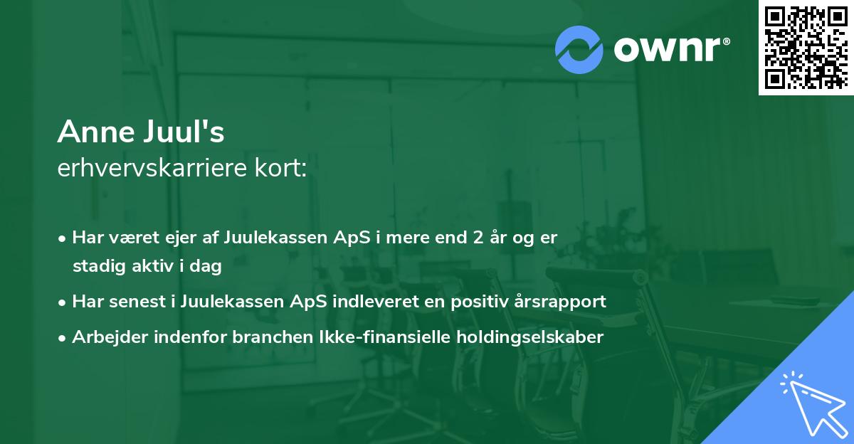 Anne Juul's erhvervskarriere kort