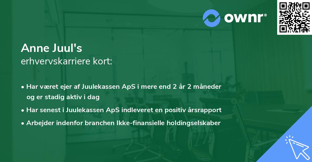 Anne Juul's erhvervskarriere kort