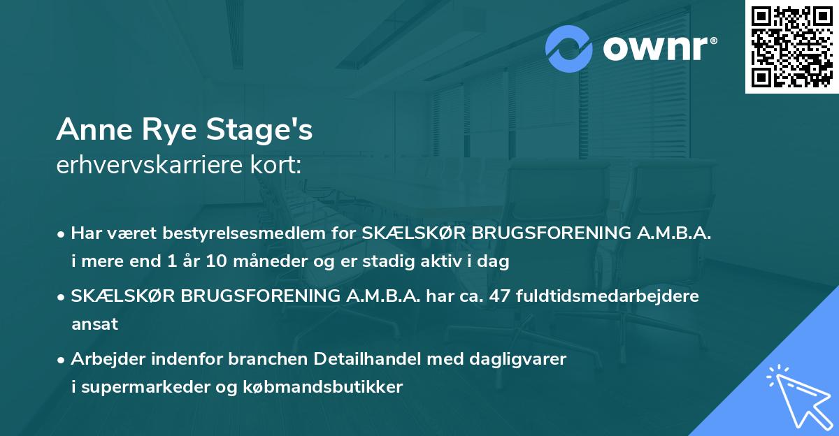 Anne Rye Stage's erhvervskarriere kort