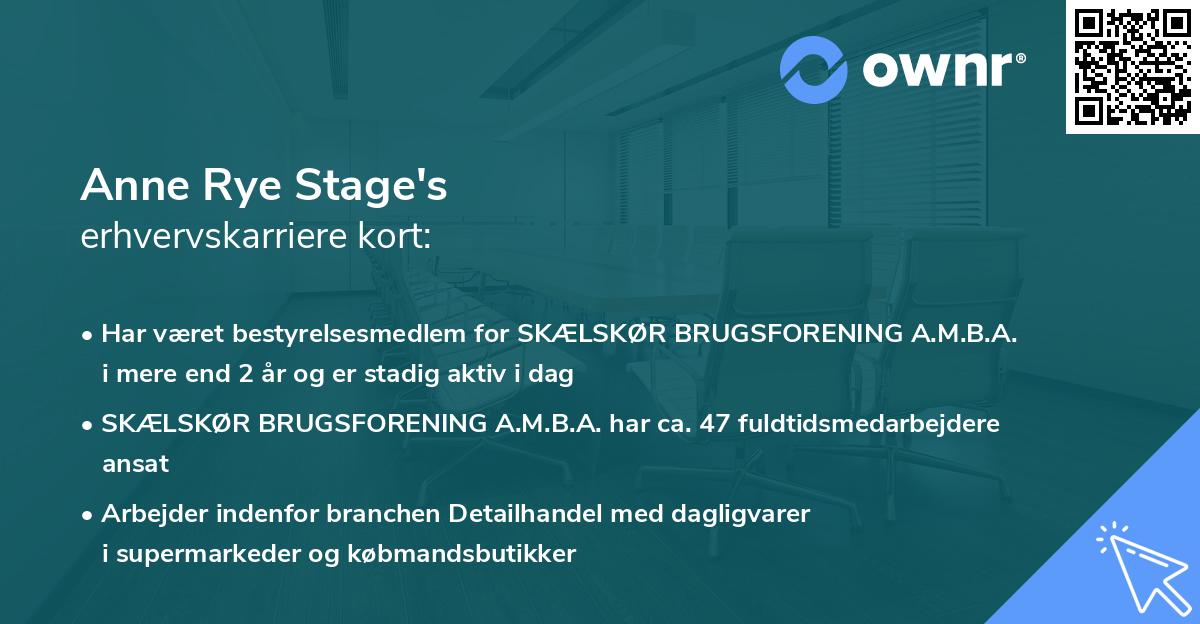 Anne Rye Stage's erhvervskarriere kort