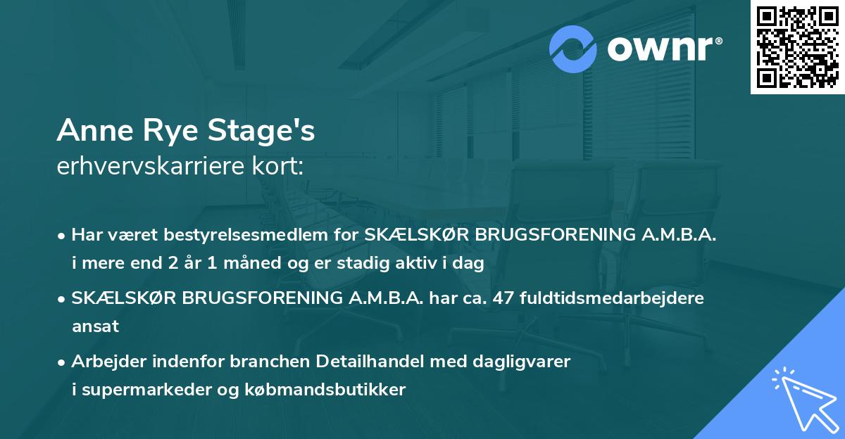 Anne Rye Stage's erhvervskarriere kort