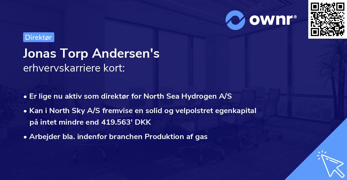 Jonas Torp Andersen's erhvervskarriere kort