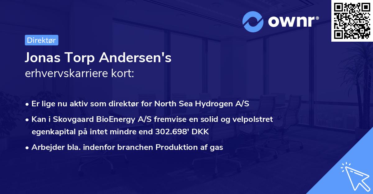 Jonas Torp Andersen's erhvervskarriere kort