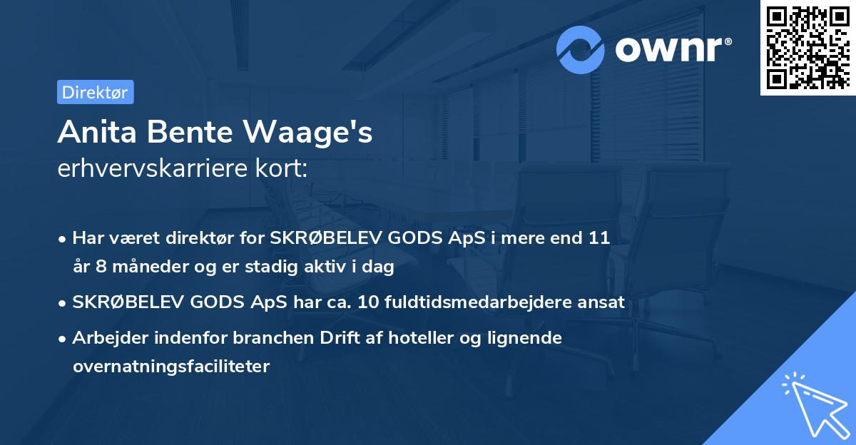 Anita Bente Waage's erhvervskarriere kort