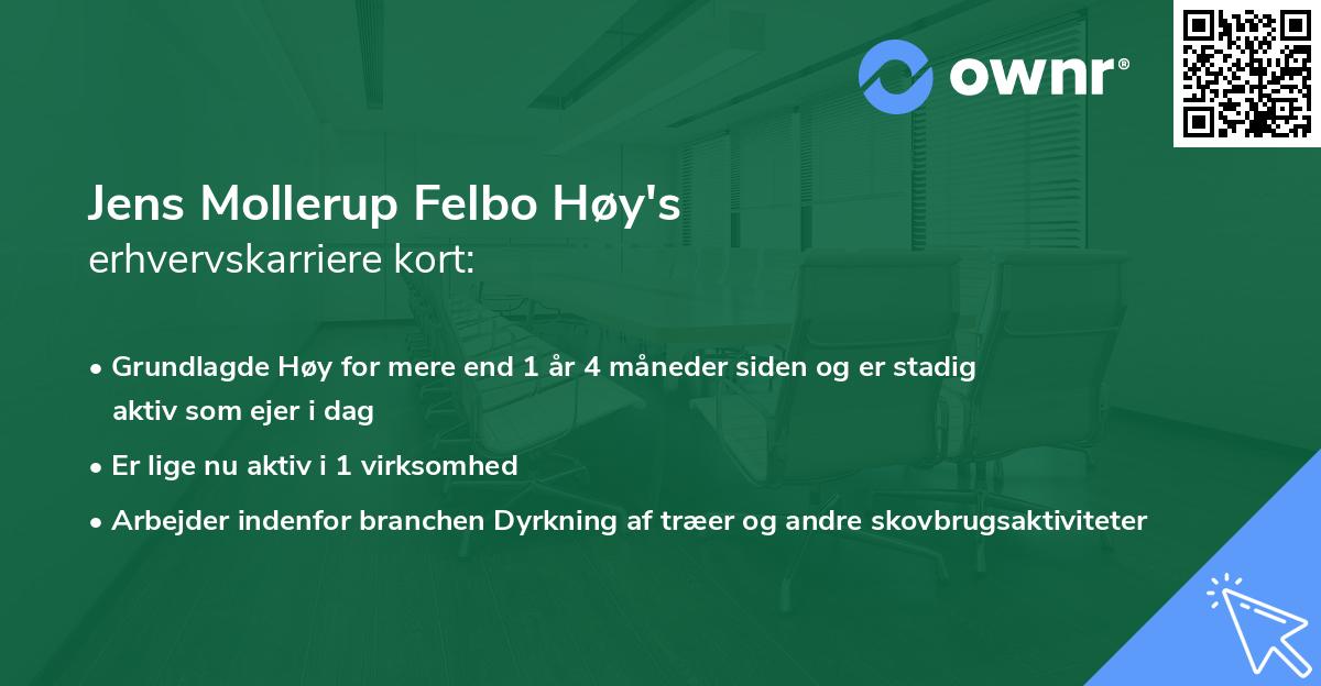 Jens Mollerup Felbo Høy's erhvervskarriere kort