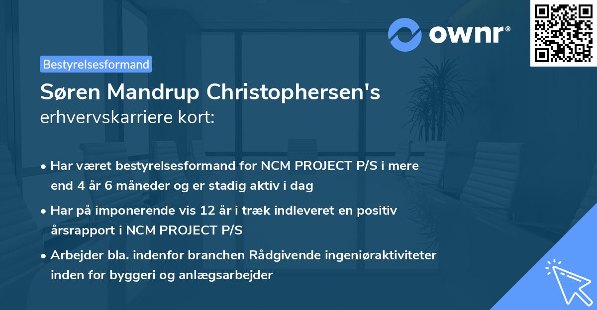 Søren Mandrup Christophersen's erhvervskarriere kort