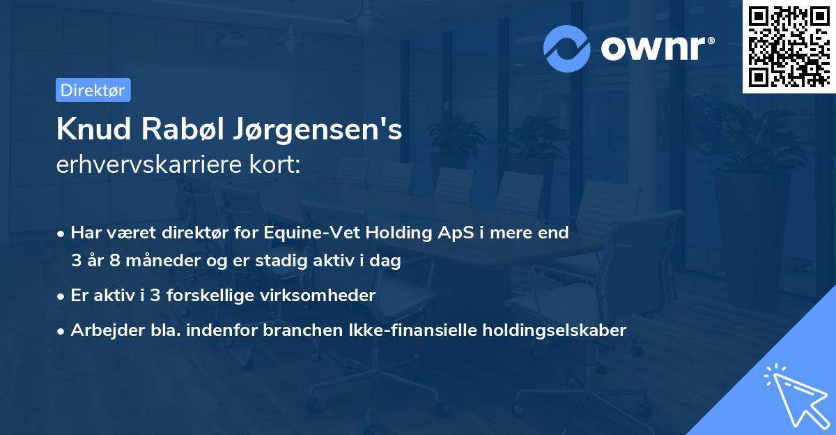 Knud Rabøl Jørgensen's erhvervskarriere kort