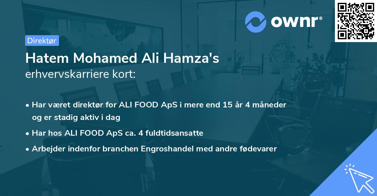 Hatem Mohamed Ali Hamza's erhvervskarriere kort