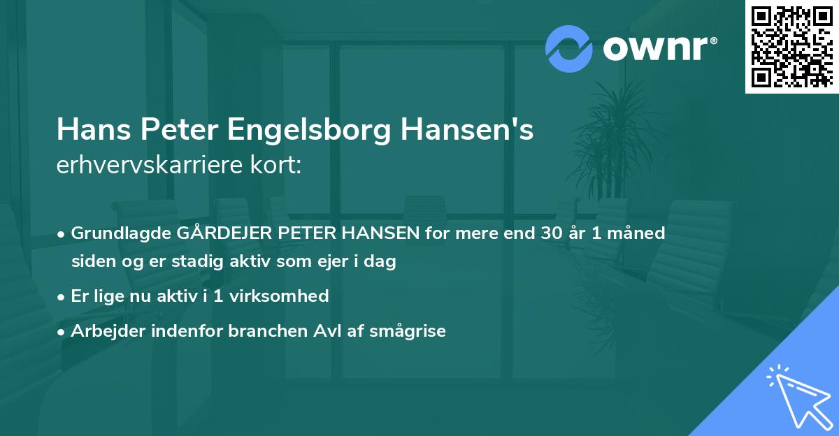Hans Peter Engelsborg Hansen's erhvervskarriere kort