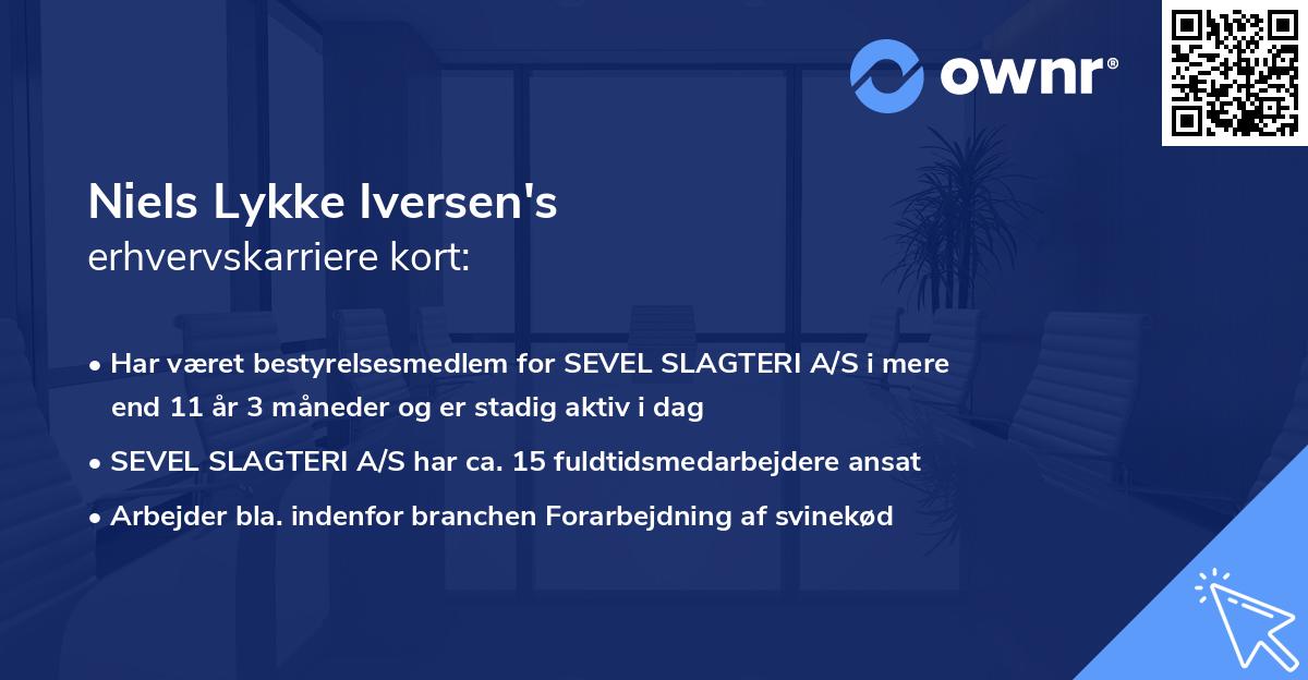 Niels Lykke Iversen's erhvervskarriere kort