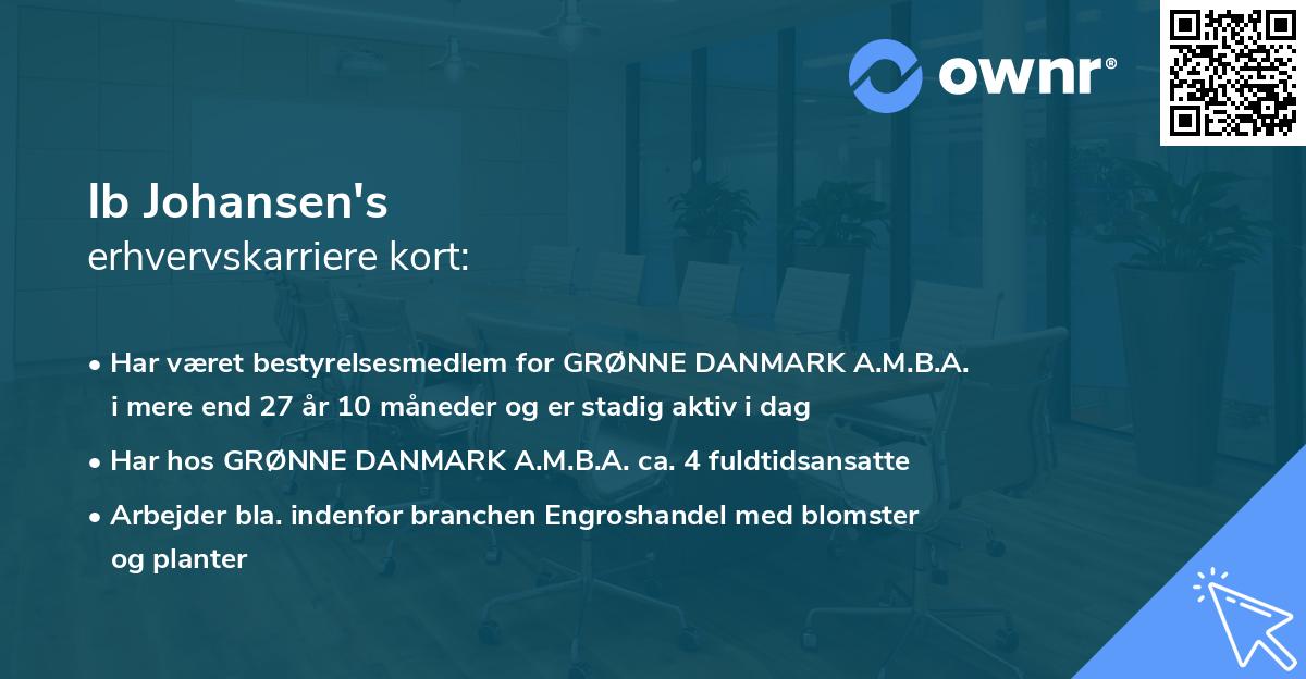 Ib Johansen's erhvervskarriere kort