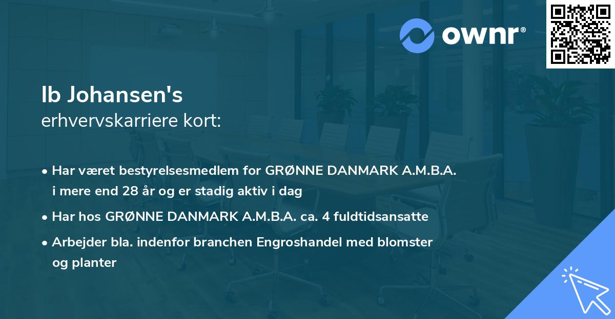 Ib Johansen's erhvervskarriere kort