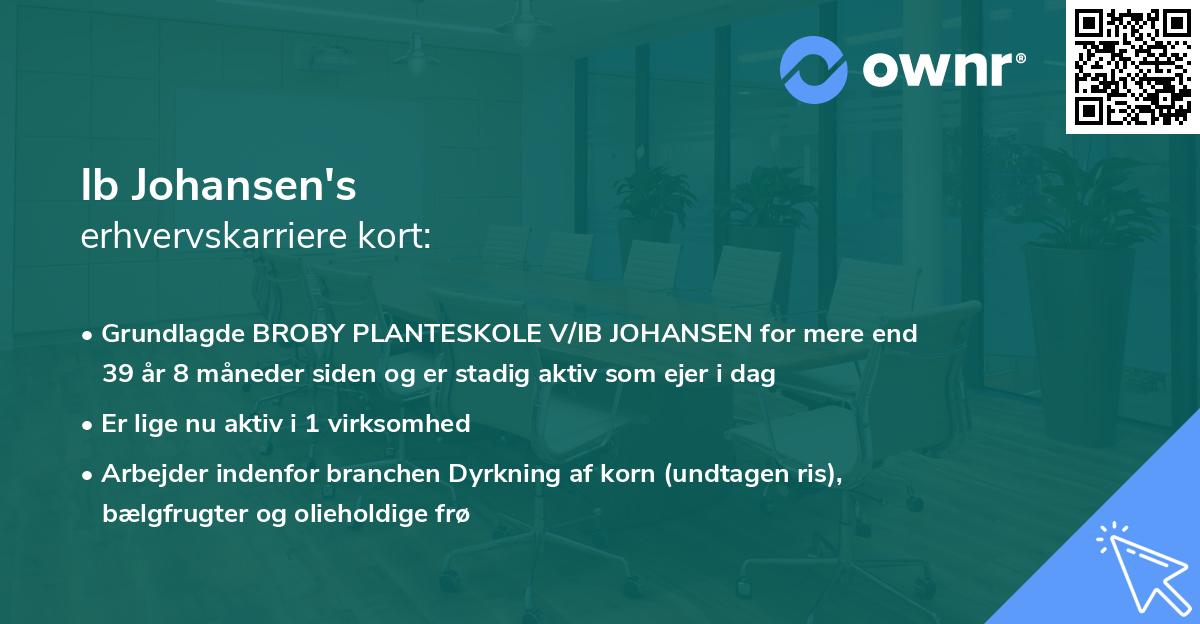 Ib Johansen's erhvervskarriere kort
