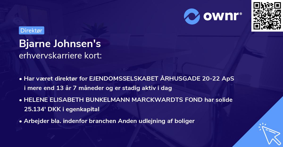 Bjarne Johnsen's erhvervskarriere kort