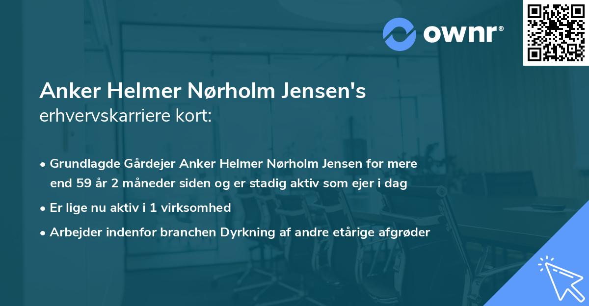 Anker Helmer Nørholm Jensen's erhvervskarriere kort