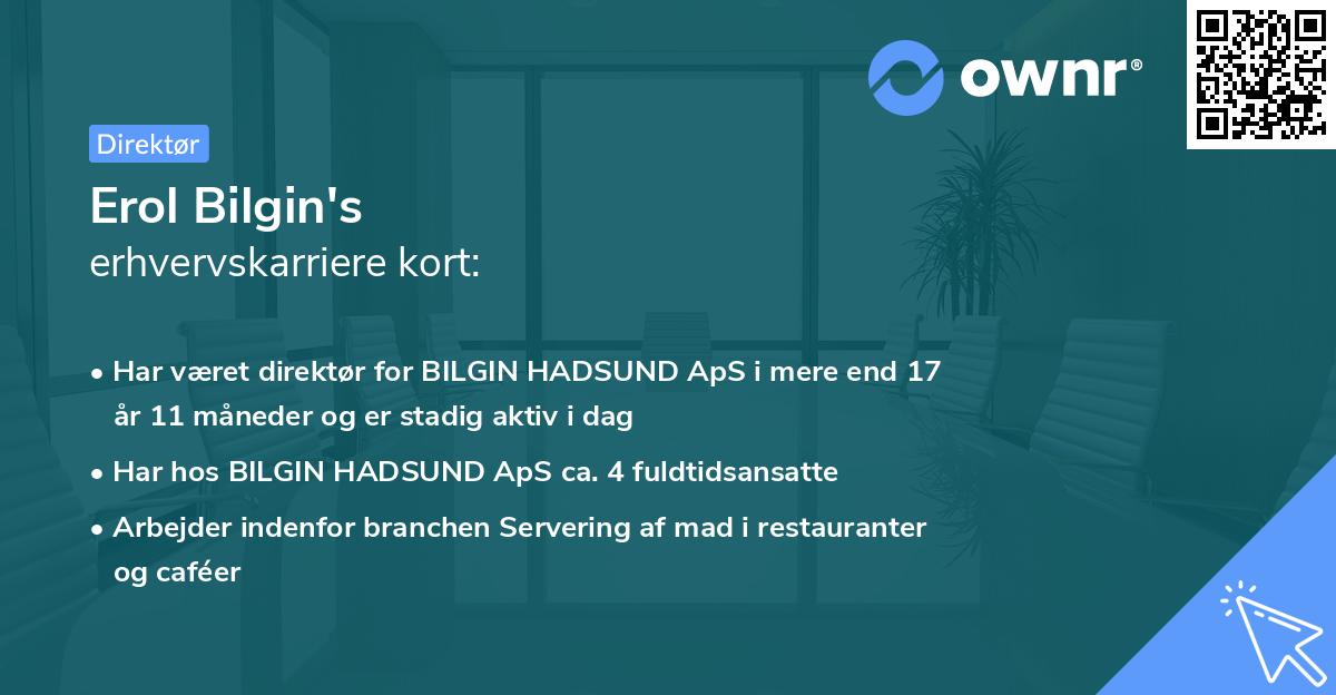 Erol Bilgin's erhvervskarriere kort