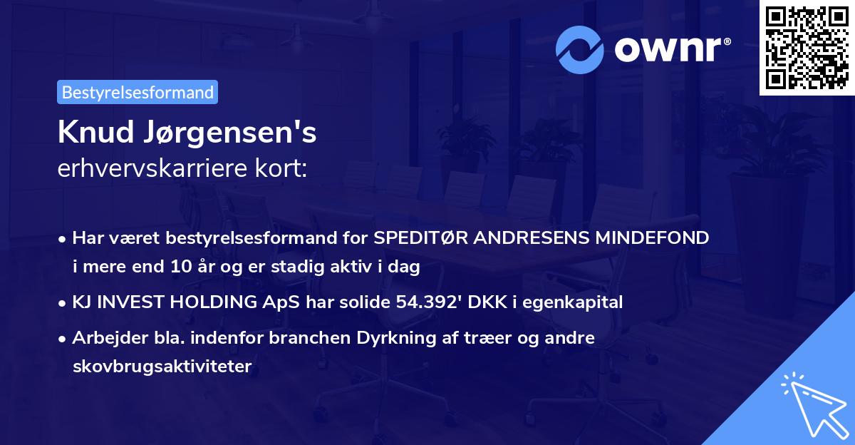 Knud Jørgensen's erhvervskarriere kort