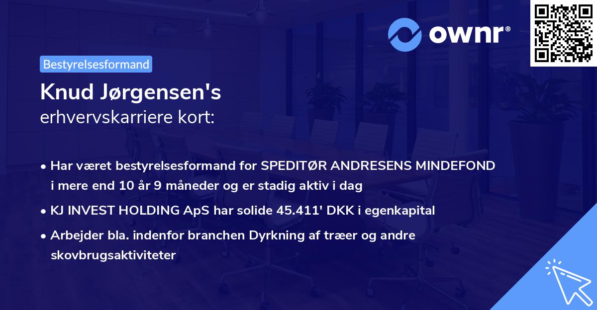 Knud Jørgensen's erhvervskarriere kort