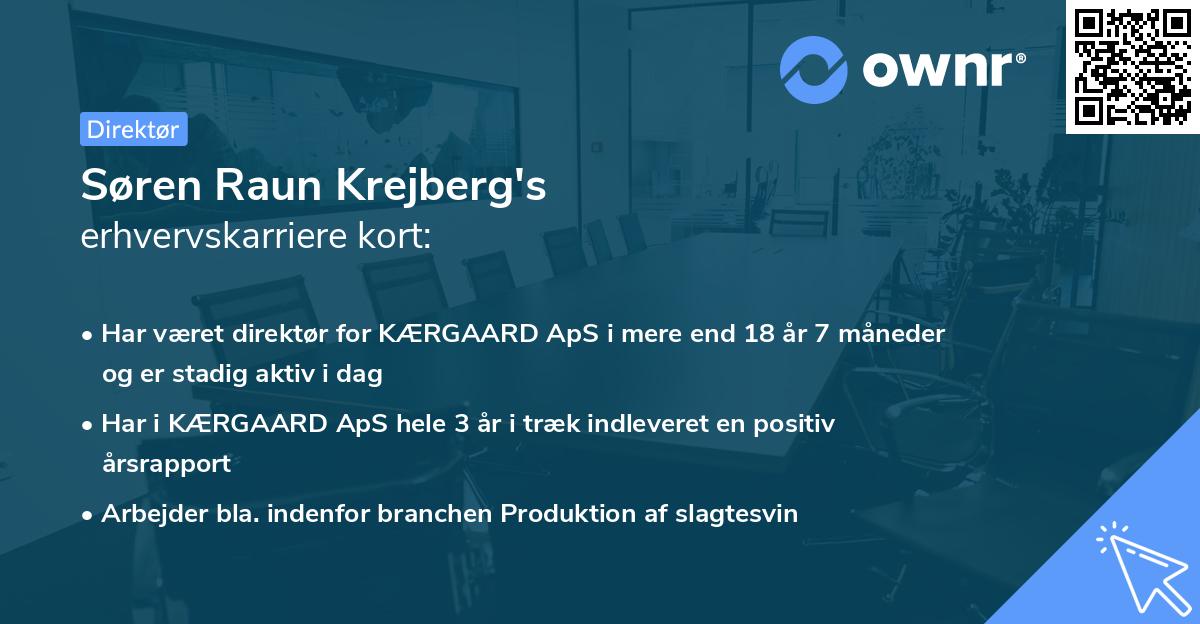 Søren Raun Krejberg's erhvervskarriere kort