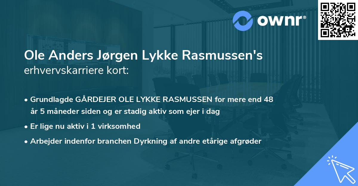 Ole Anders Jørgen Lykke Rasmussen's erhvervskarriere kort