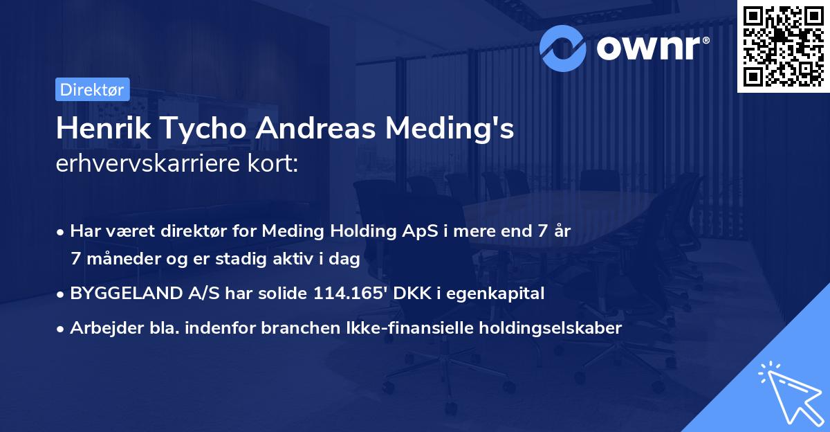 Henrik Tycho Andreas Meding's erhvervskarriere kort