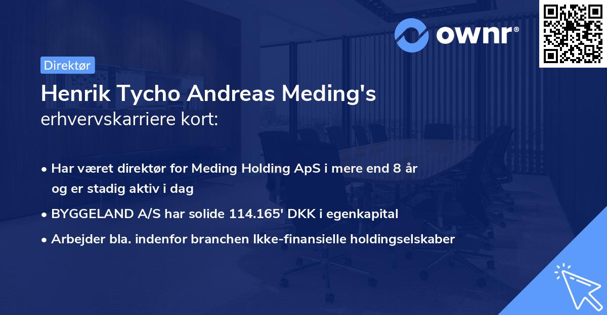 Henrik Tycho Andreas Meding's erhvervskarriere kort