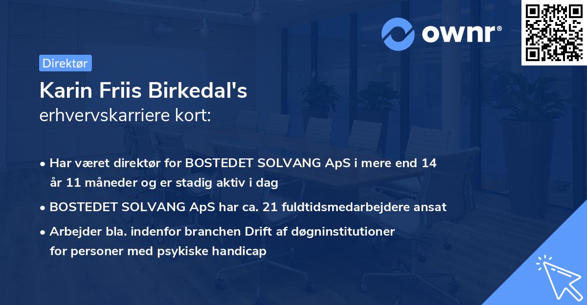Karin Friis Birkedal's erhvervskarriere kort
