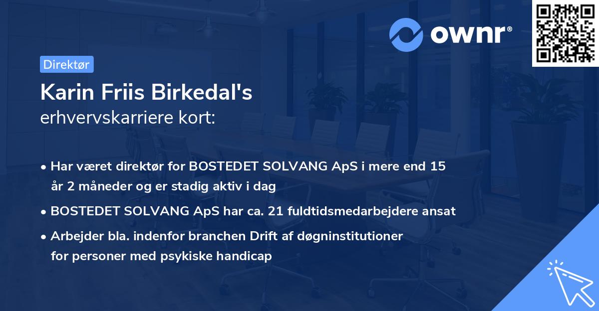 Karin Friis Birkedal's erhvervskarriere kort