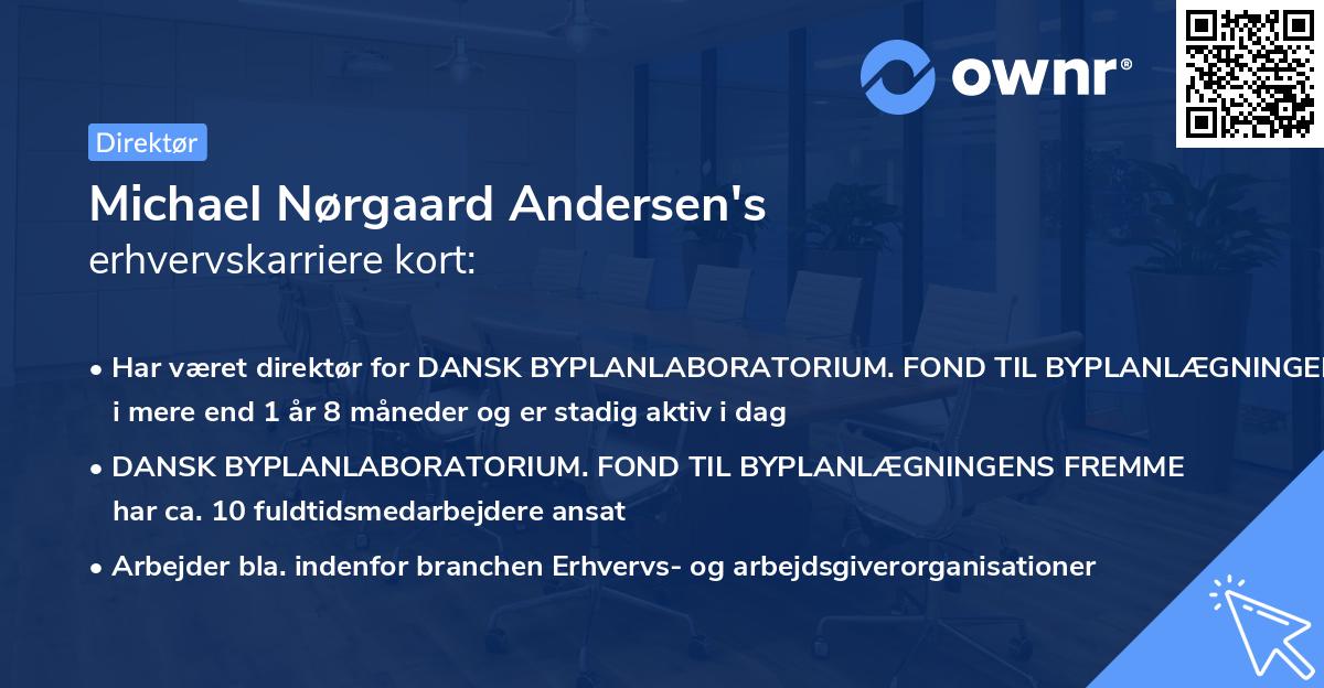 Michael Nørgaard Andersen's erhvervskarriere kort