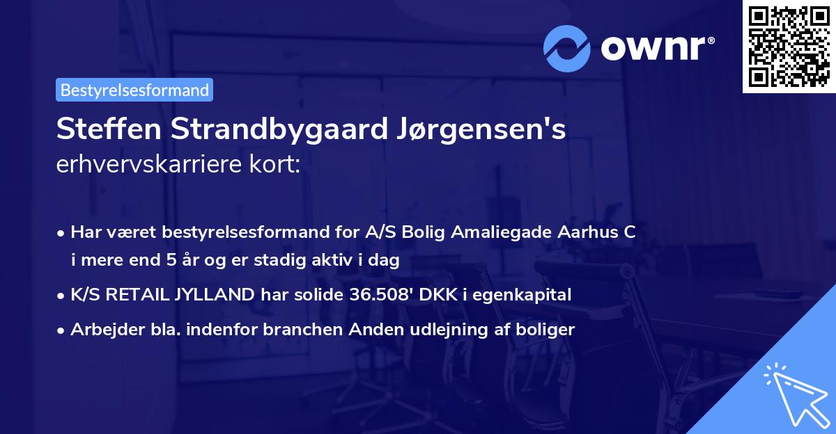 Steffen Strandbygaard Jørgensen's erhvervskarriere kort
