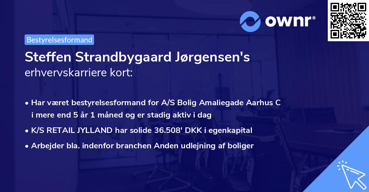 Steffen Strandbygaard Jørgensen's erhvervskarriere kort