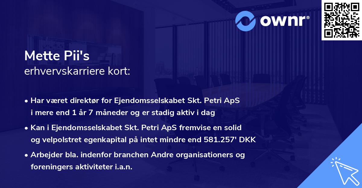 Mette Pii's erhvervskarriere kort