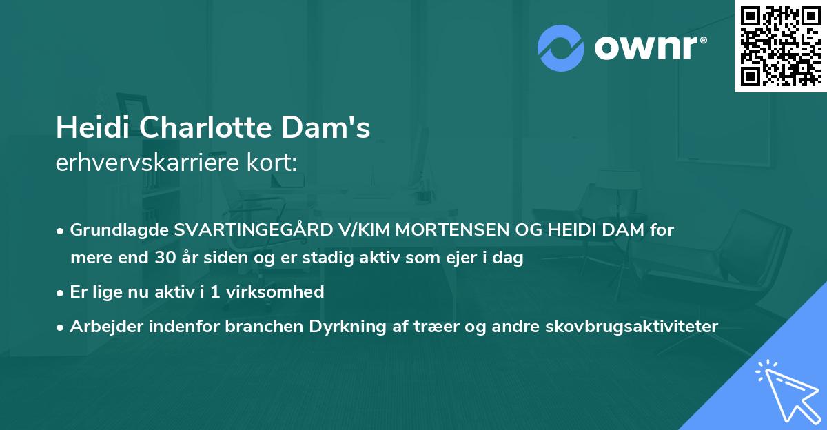 Heidi Charlotte Dam's erhvervskarriere kort