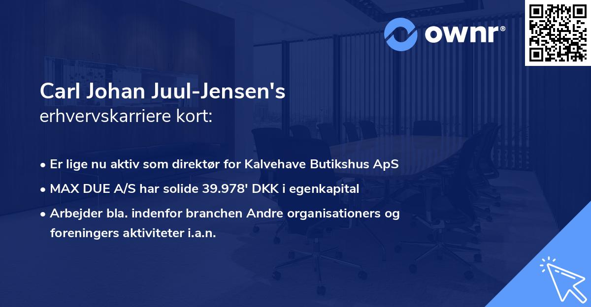 Carl Johan Juul-Jensen's erhvervskarriere kort