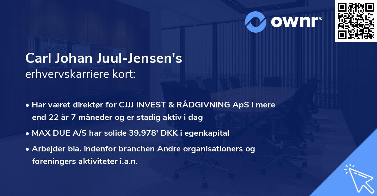 Carl Johan Juul-Jensen's erhvervskarriere kort