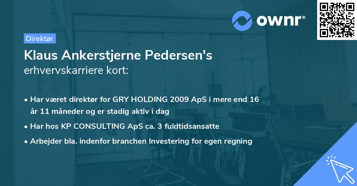 Klaus Ankerstjerne Pedersen's erhvervskarriere kort