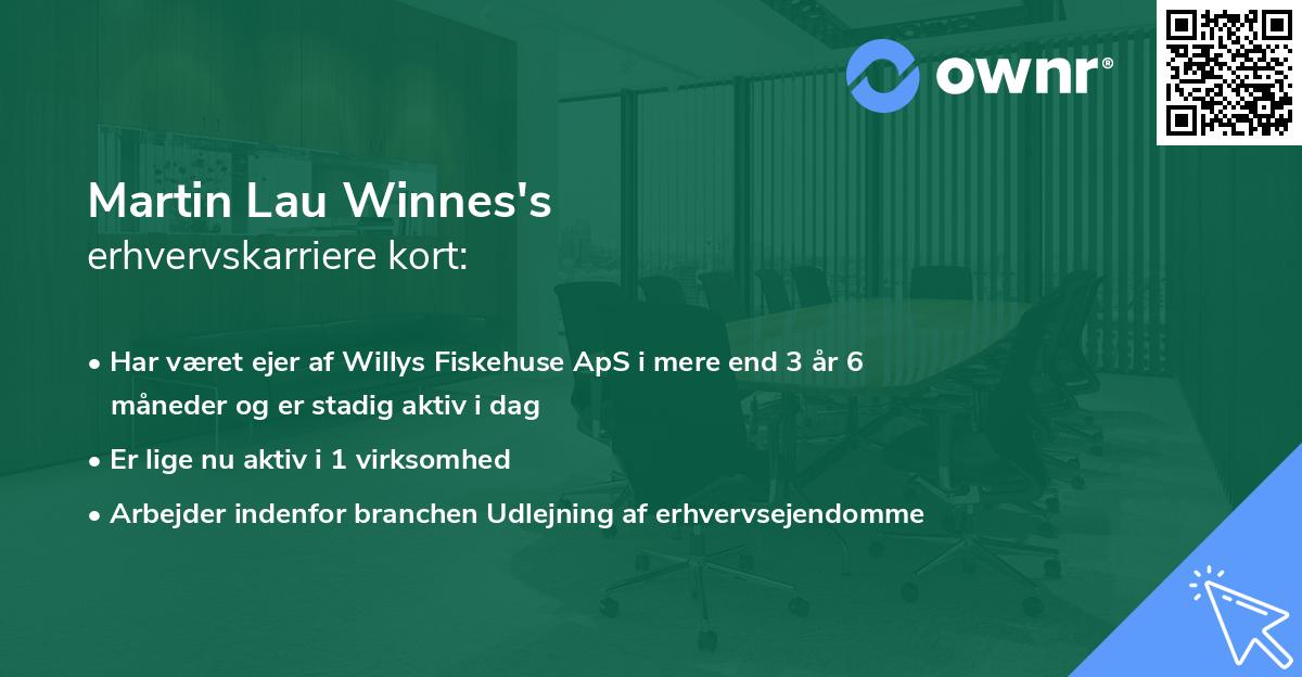 Martin Lau Winnes's erhvervskarriere kort