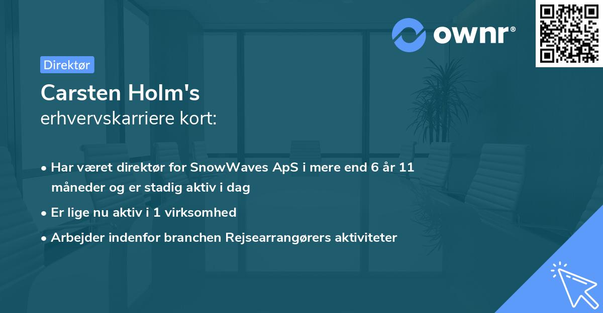 Carsten Holm's erhvervskarriere kort
