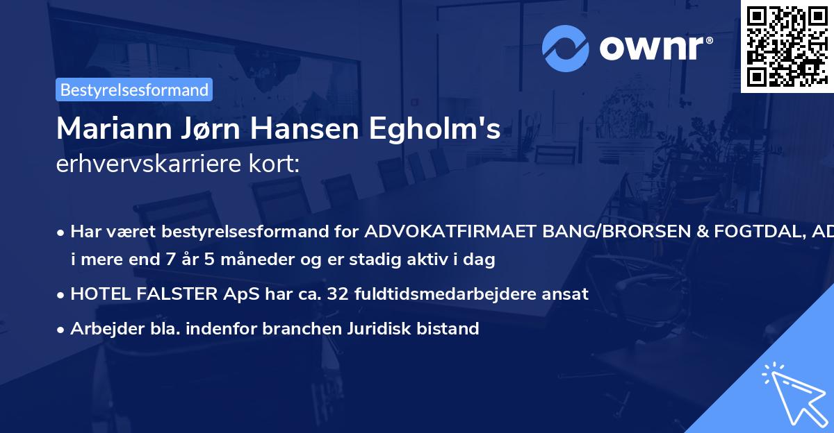 Mariann Jørn Hansen Egholm's erhvervskarriere kort