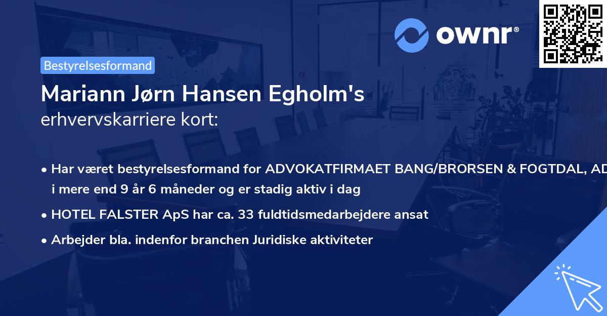 Mariann Jørn Hansen Egholm's erhvervskarriere kort