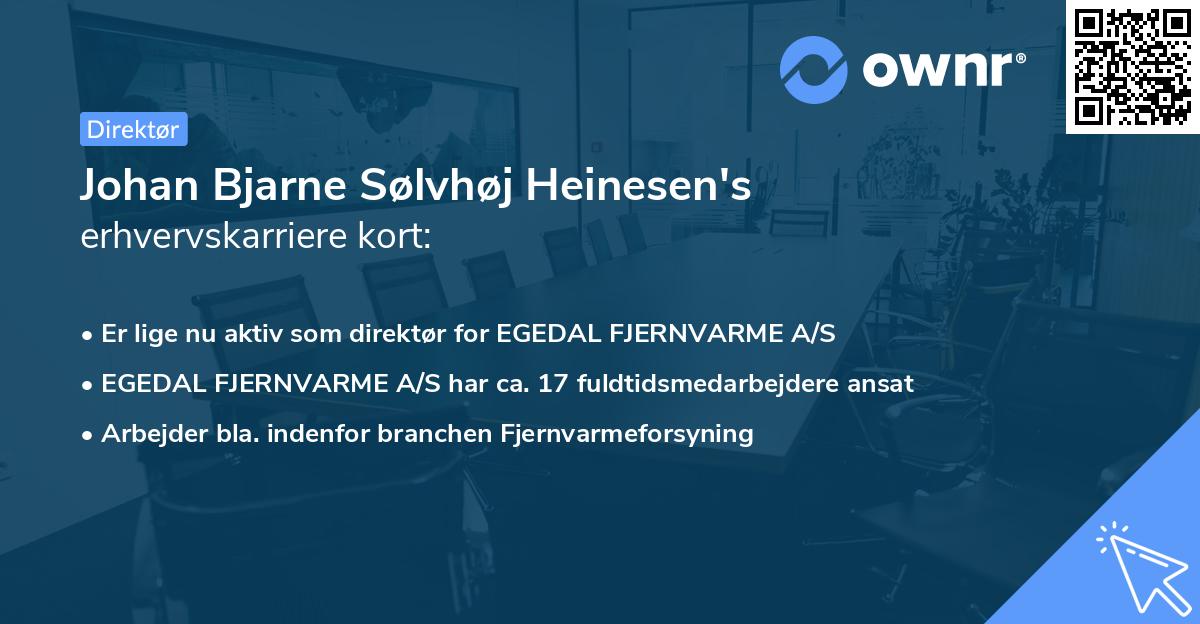 Johan Bjarne Sølvhøj Heinesen's erhvervskarriere kort