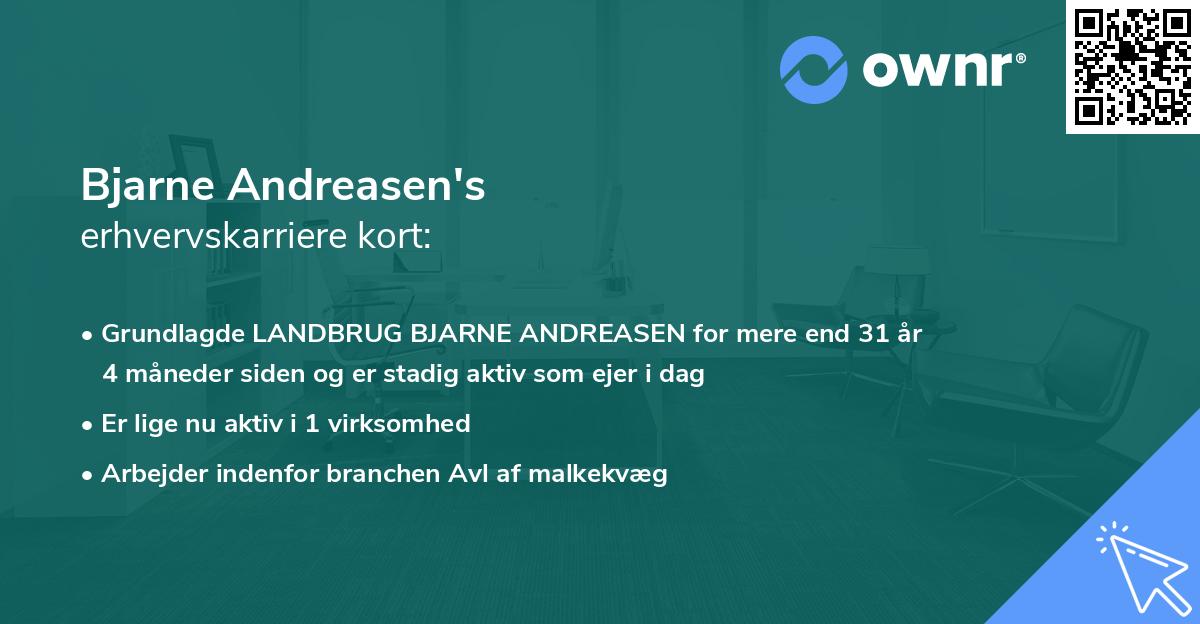 Bjarne Andreasen's erhvervskarriere kort