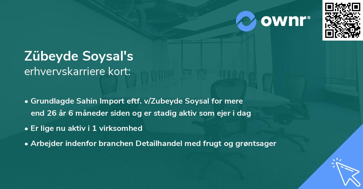 Zübeyde Soysal's erhvervskarriere kort