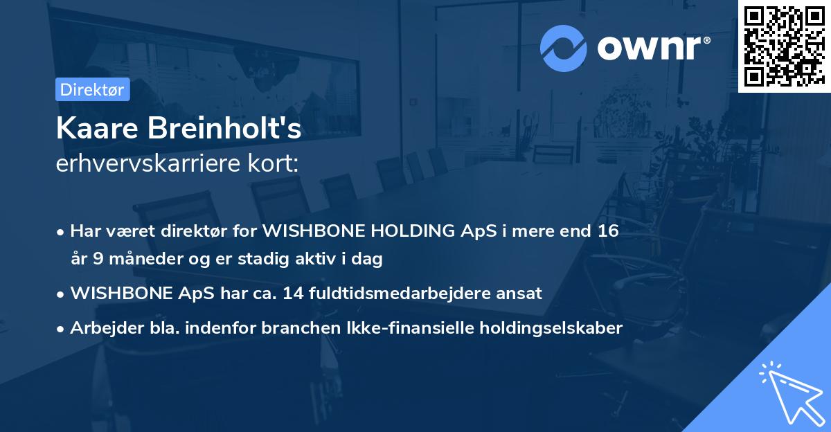 Kaare Breinholt's erhvervskarriere kort
