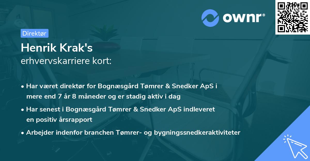 Henrik Krak's erhvervskarriere kort