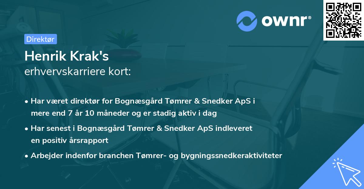 Henrik Krak's erhvervskarriere kort