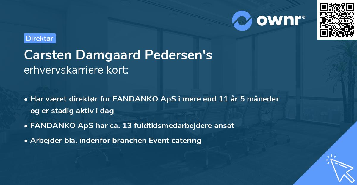 Carsten Damgaard Pedersen's erhvervskarriere kort
