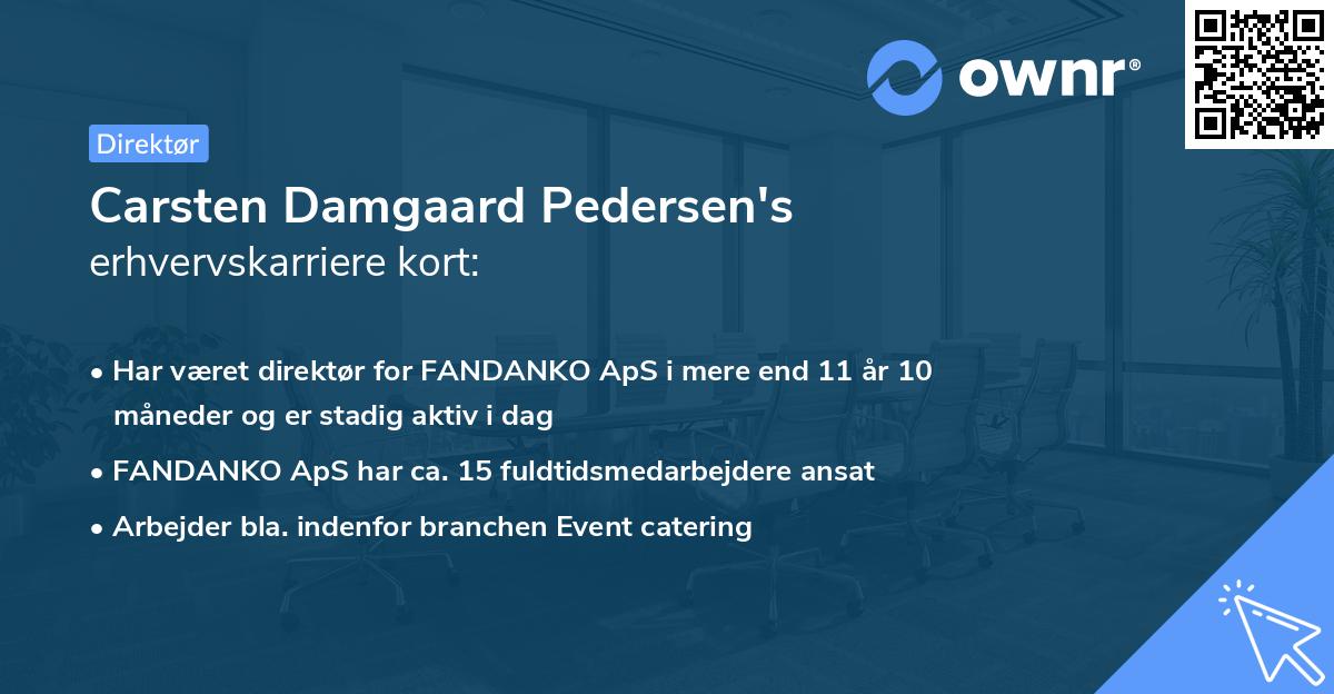 Carsten Damgaard Pedersen's erhvervskarriere kort